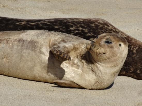 儿童泳池-拉荷亚必去景点