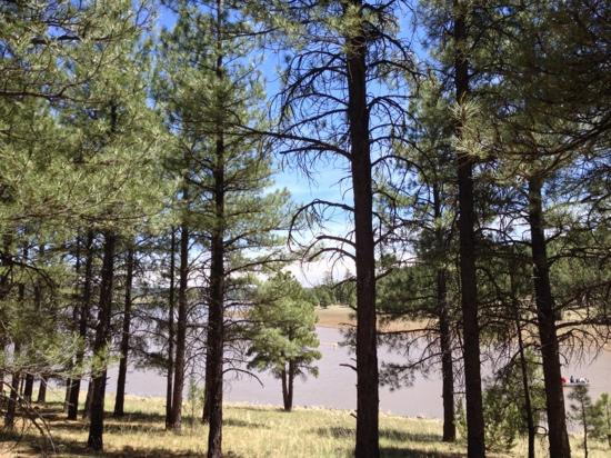 Lake Mary-弗拉格斯塔夫必去景点