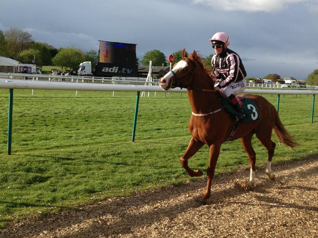 Warwick Racecourse-沃里克必去景点
