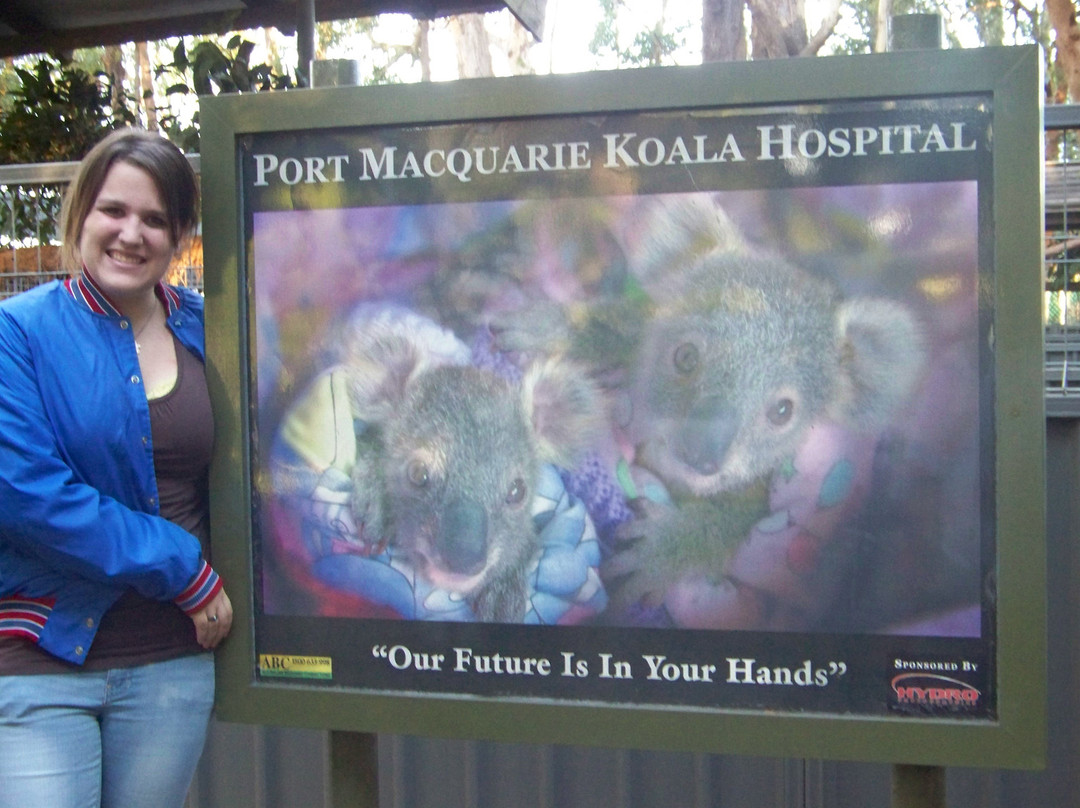 考拉医院-麦克夸利港必去景点