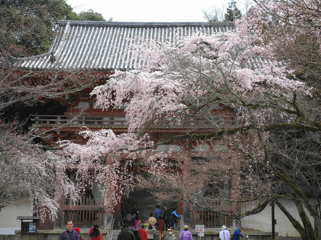 醍醐寺-京都市必去景点