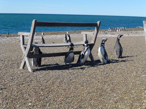 Reserva Natural Estancia San Lorenzo-马德林港必去景点