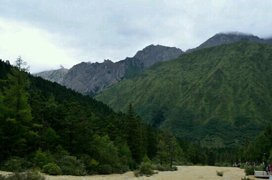 剑岩原始森林景点图片