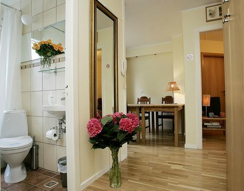 Athena Guesthouse主图