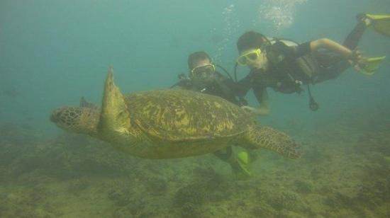 欧湖岛潜水之旅-火奴鲁鲁必去景点