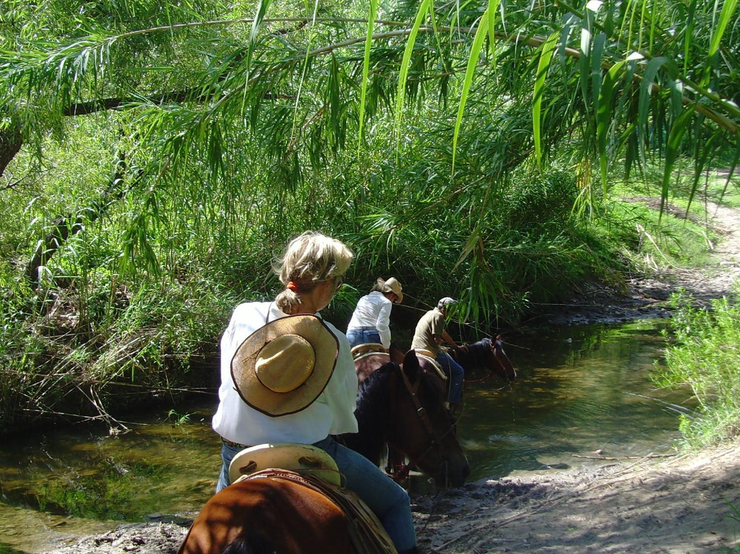 Leisurely Country Horseback Riding-圣米格尔护城必去景点