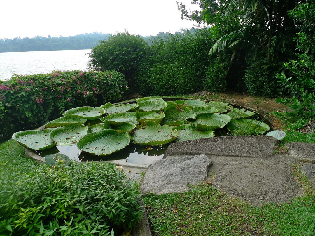 新加坡动物园-新加坡必去景点