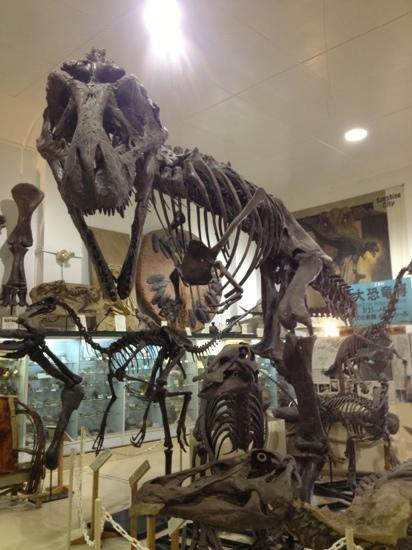 The Museum @ Black Hills Institute景点图片