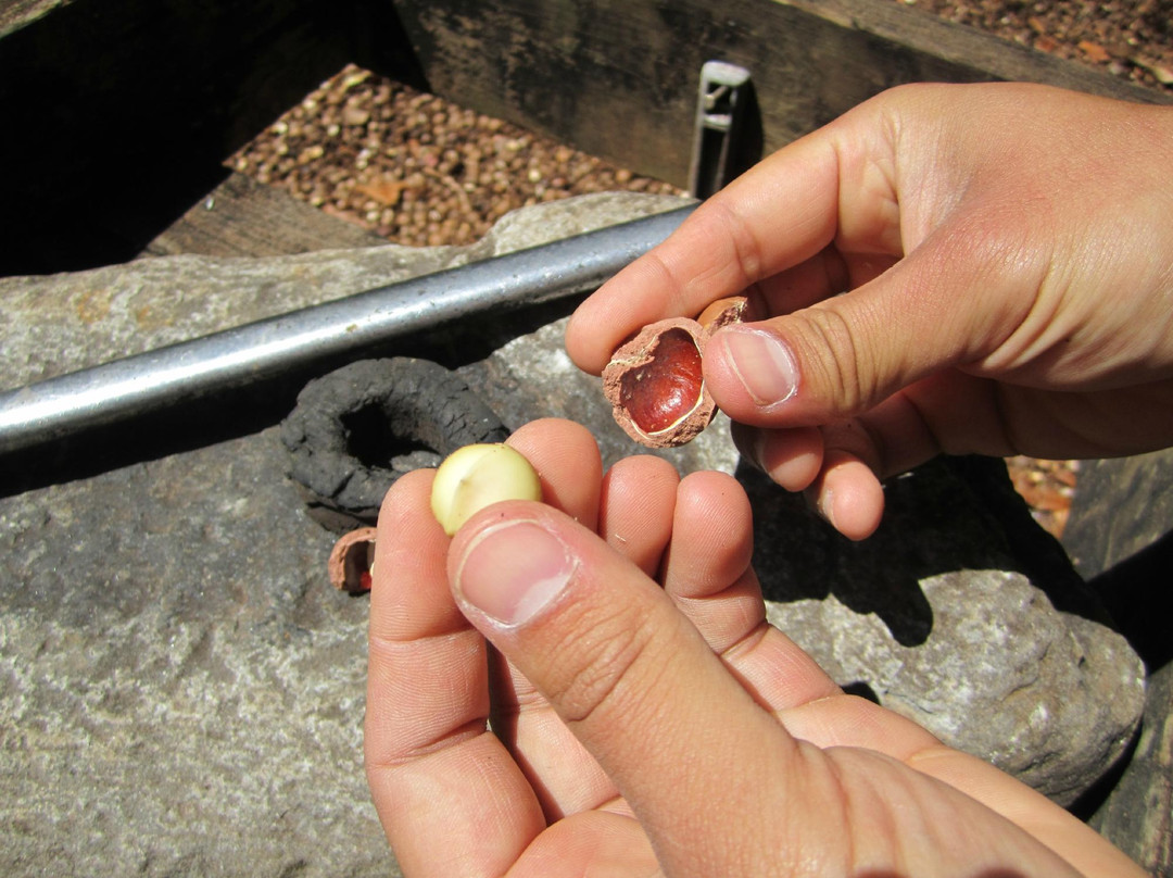 Purdy's Natural Macadamia Nuts-霍奥莱胡阿必去景点
