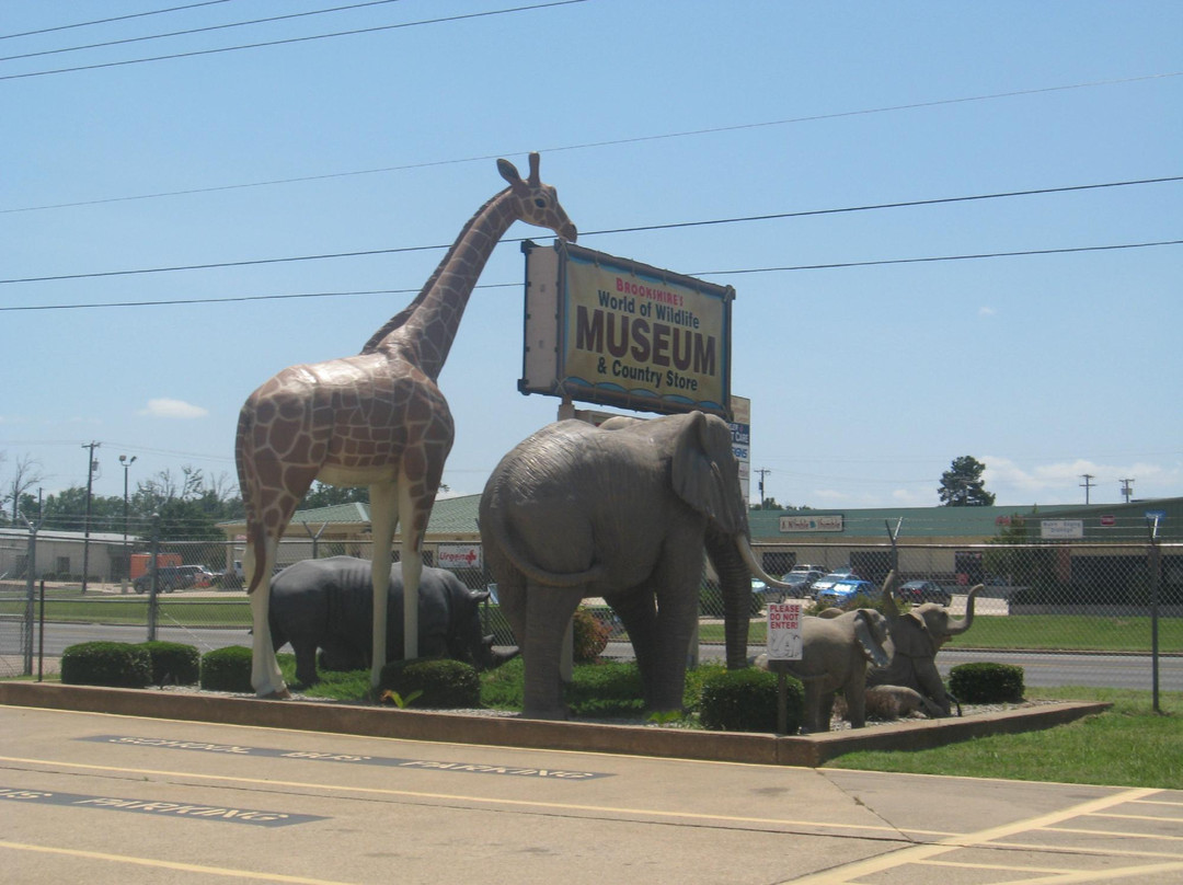Brookshire's World of Wildlife Museum and Country Store-泰勒必去景点