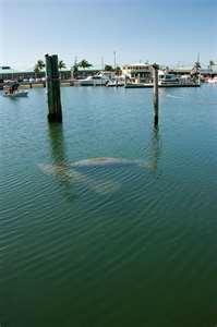 It's Jetski Time-那不勒斯必去景点