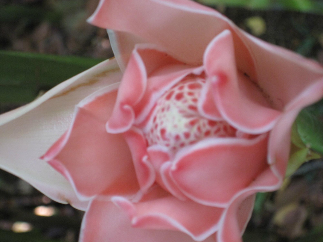Jardin Botanique de Valombreuse-Petit-Bourg必去景点