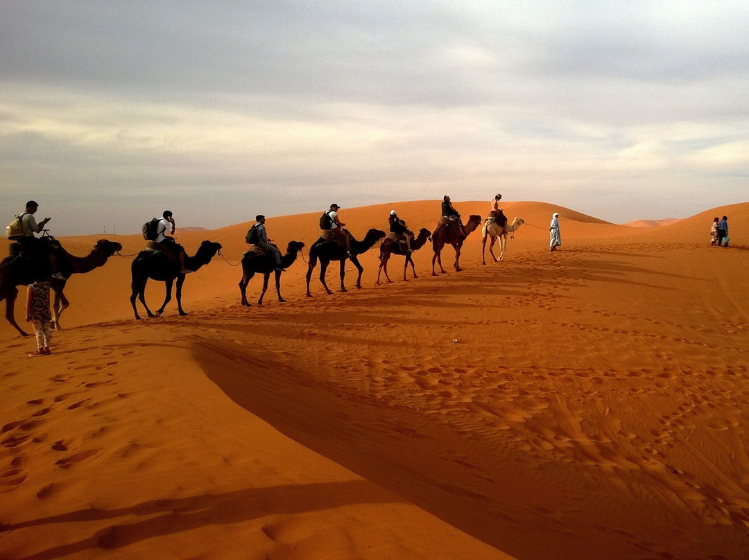 THE CAMEL-Lalla Takerkoust必去景点