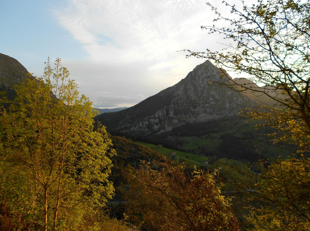 Cueva Covalanas景点图片