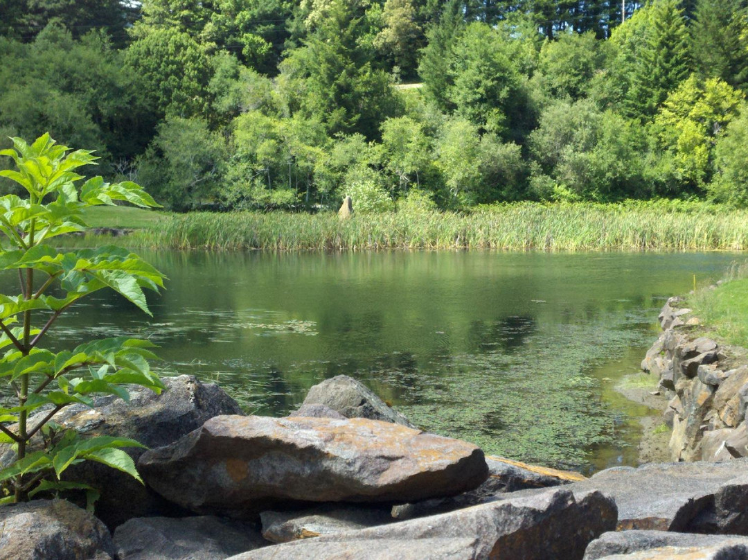 Salmon Run Golf Course-布鲁金斯必去景点