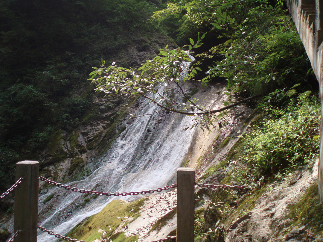 金丝峡国家森林公园景点图片