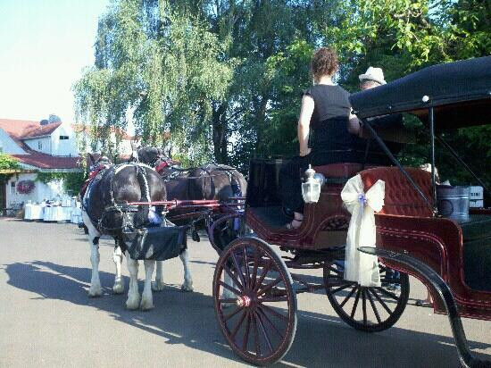 Equestrian Wine Tours-Carlton必去景点