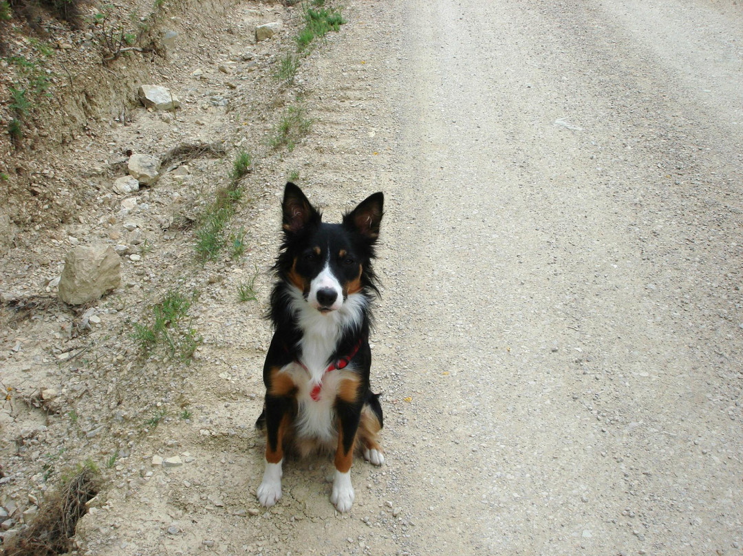 La Grange neuve - Chez Monique主图