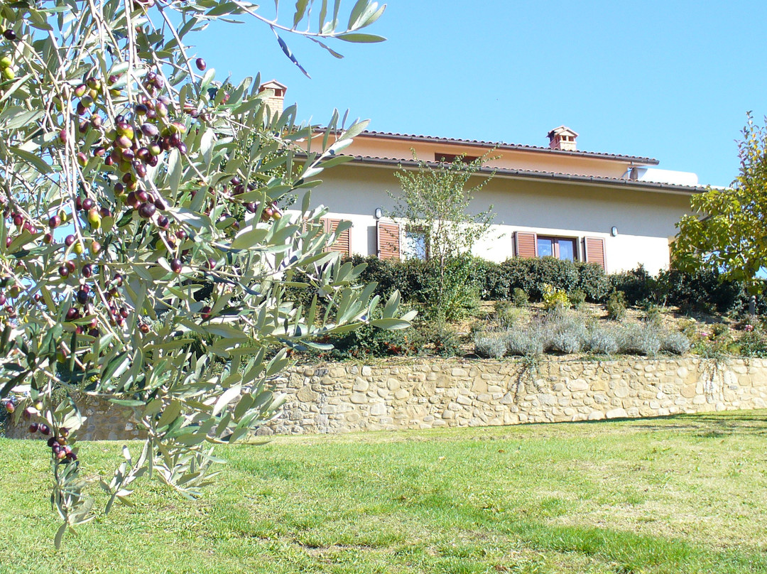 Anghiari酒店住宿-Agriturismo Val Della Pieve