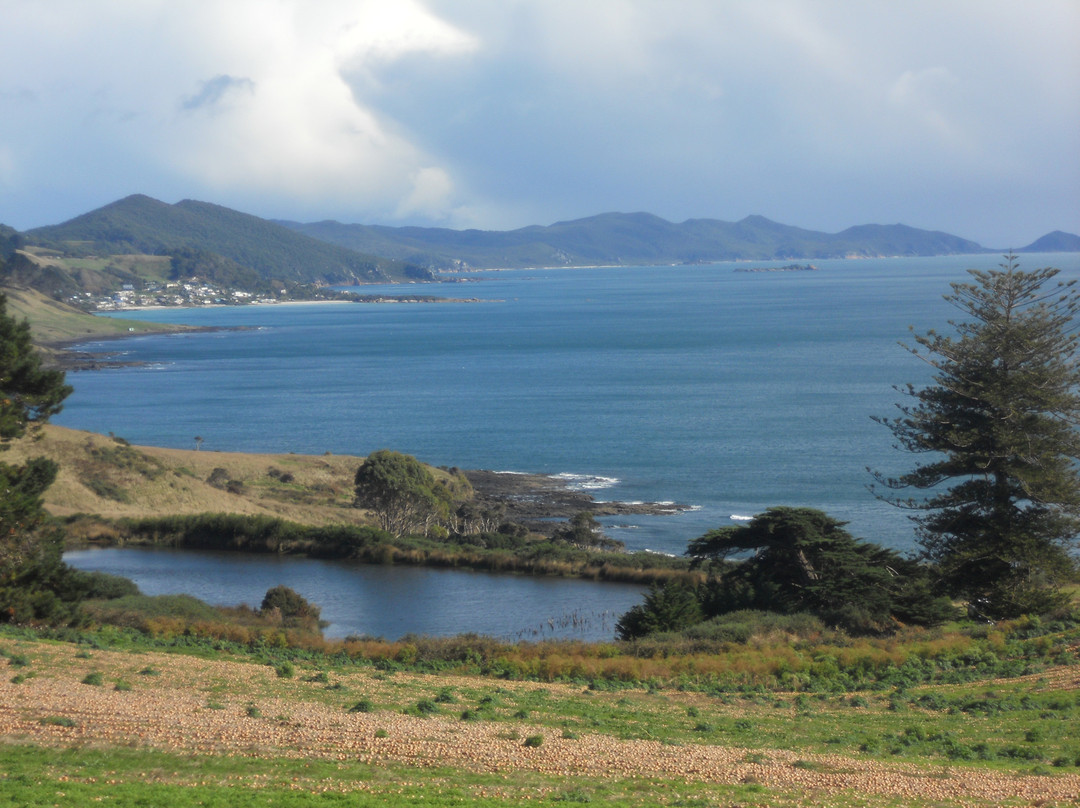 Play A Round in Tassie Day Tours-伯尼必去景点