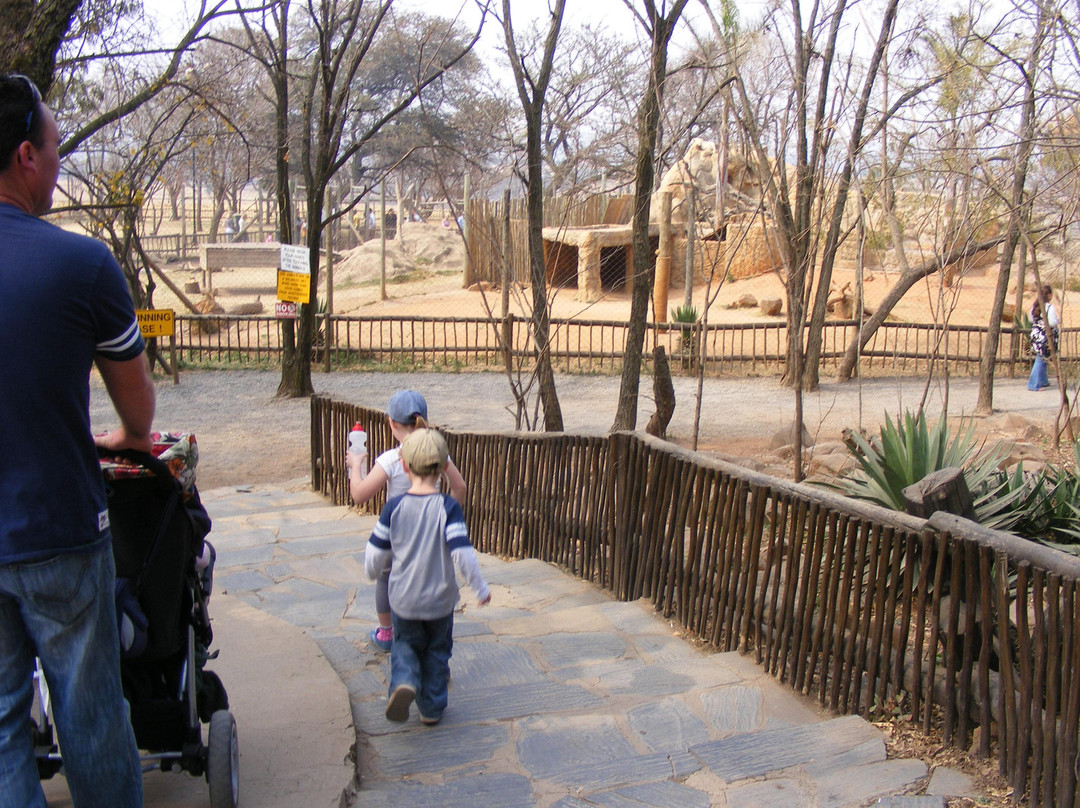 Lion and Safari Park-Broederstroom必去景点