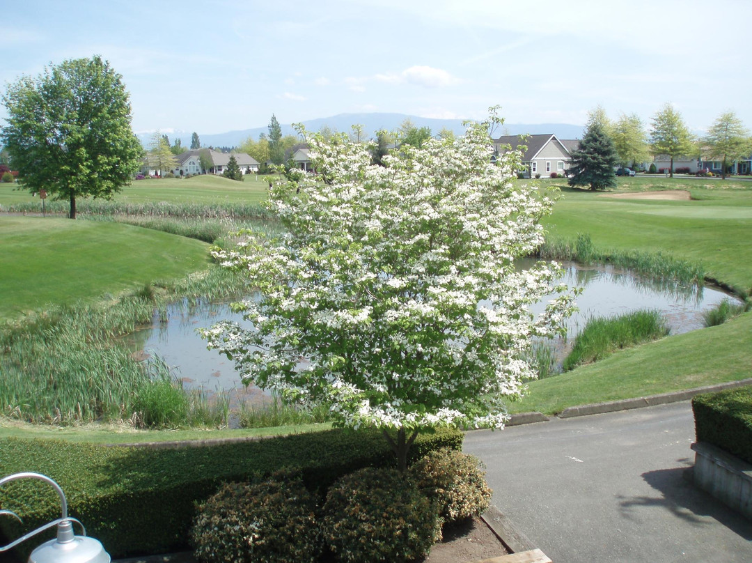 Homestead Golf & Country Club-Lynden必去景点