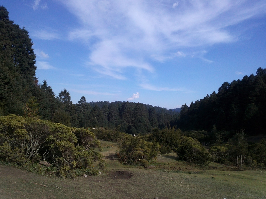 Mexico Encounter Tours Day Tours景点图片