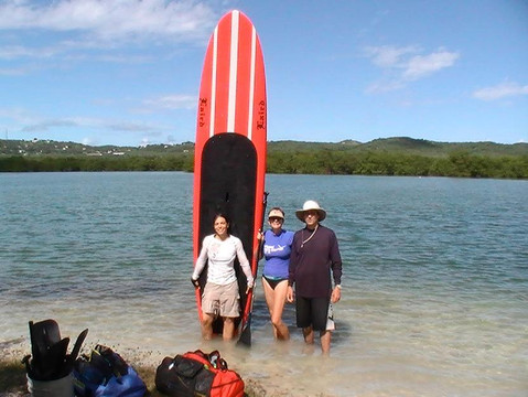 Vieques Paddleboarding-维切克岛必去景点