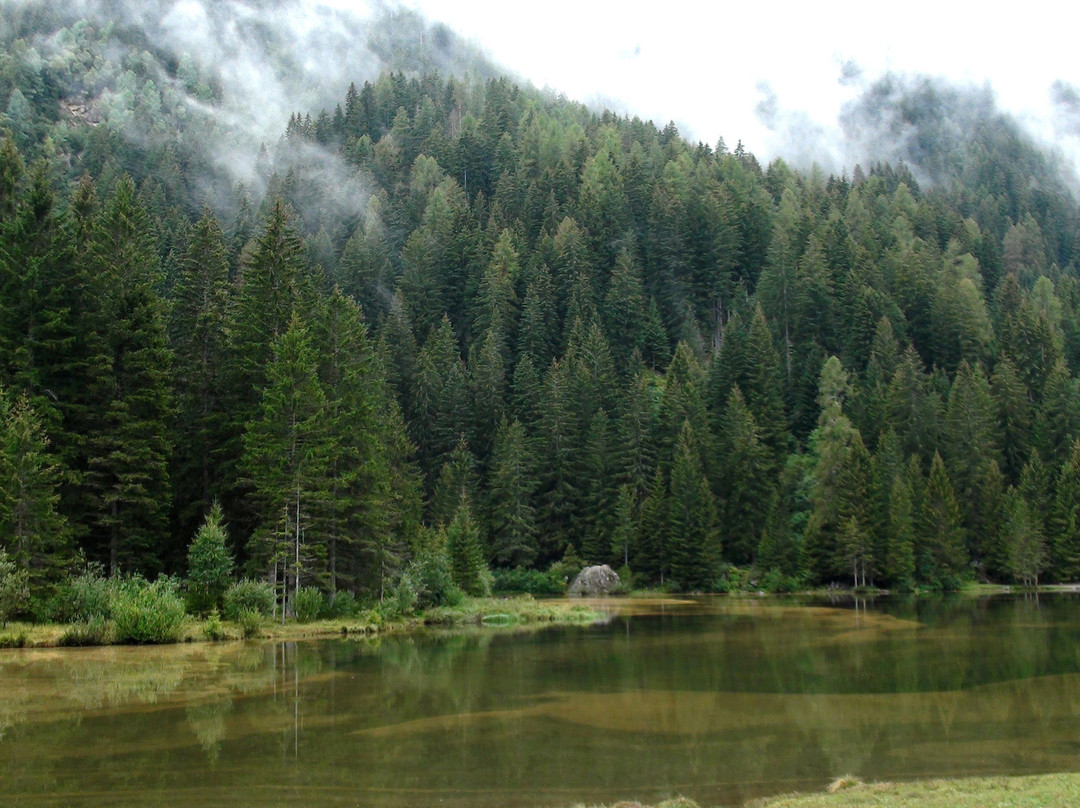 Lago dei Caprioli景点图片