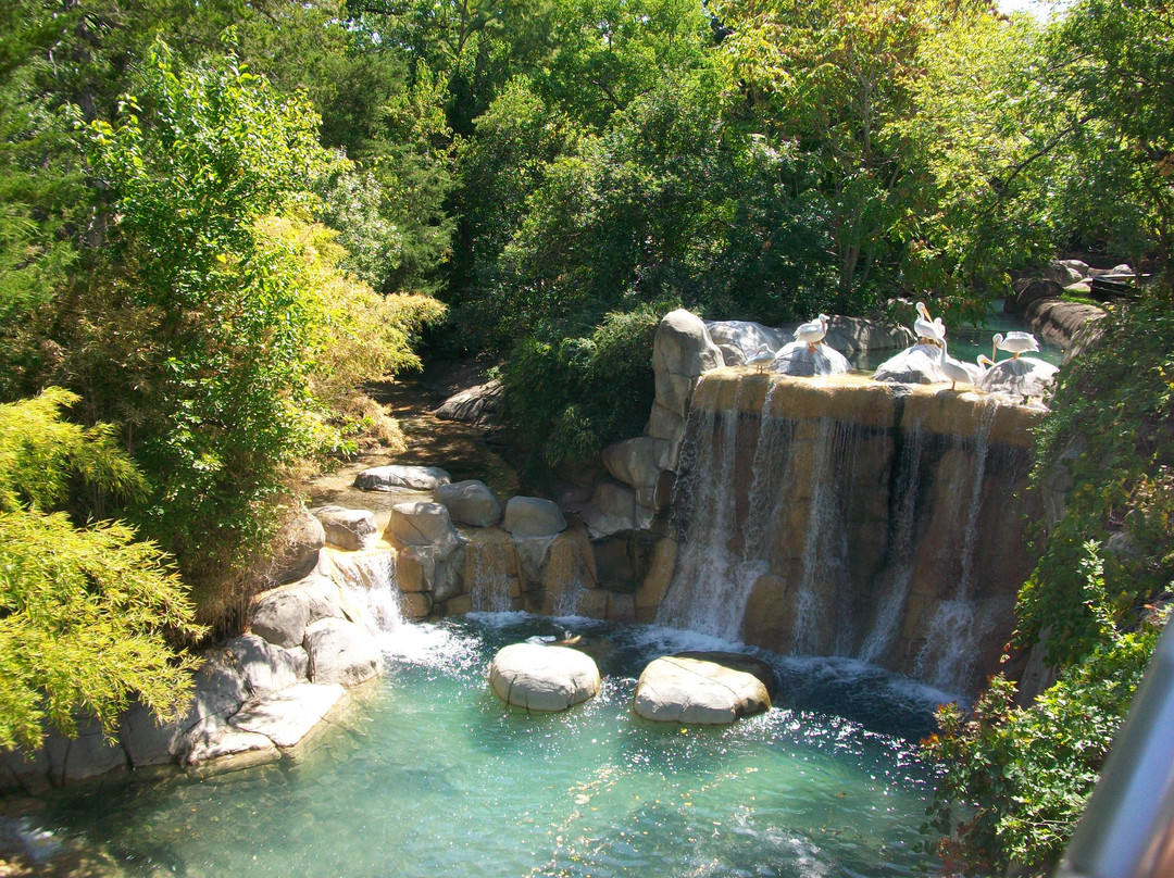 达拉斯动物园-达拉斯必去景点