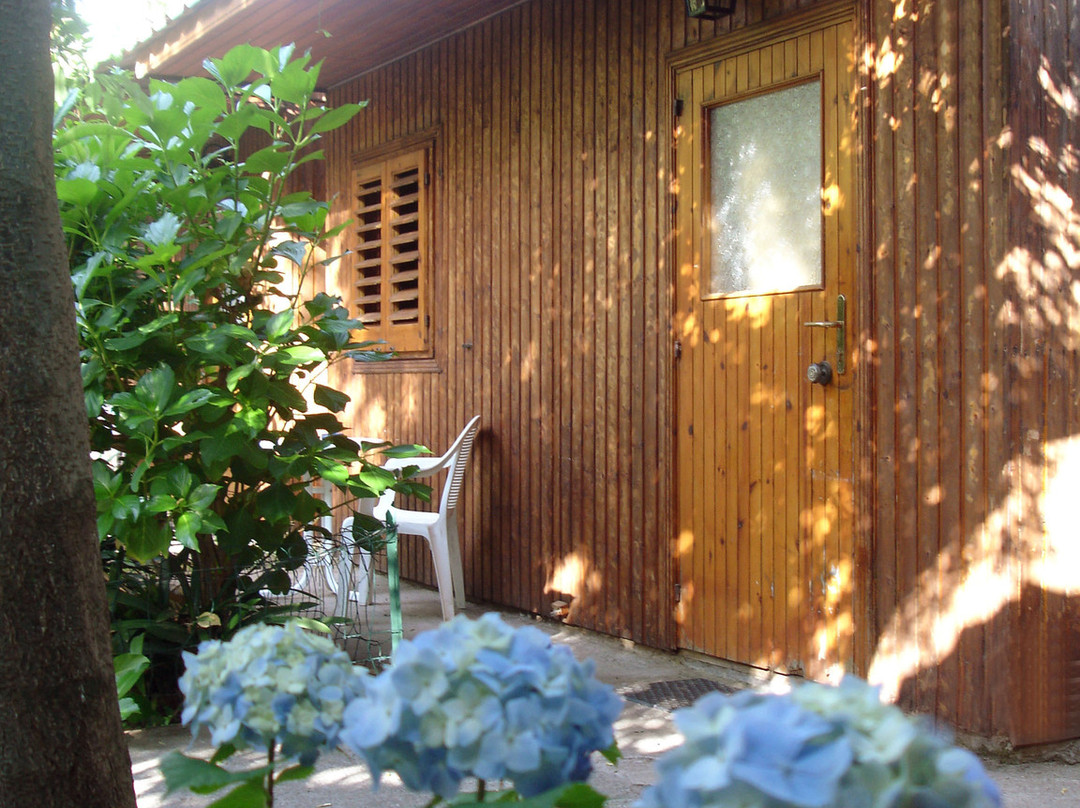 Fiori d'Arancio主图