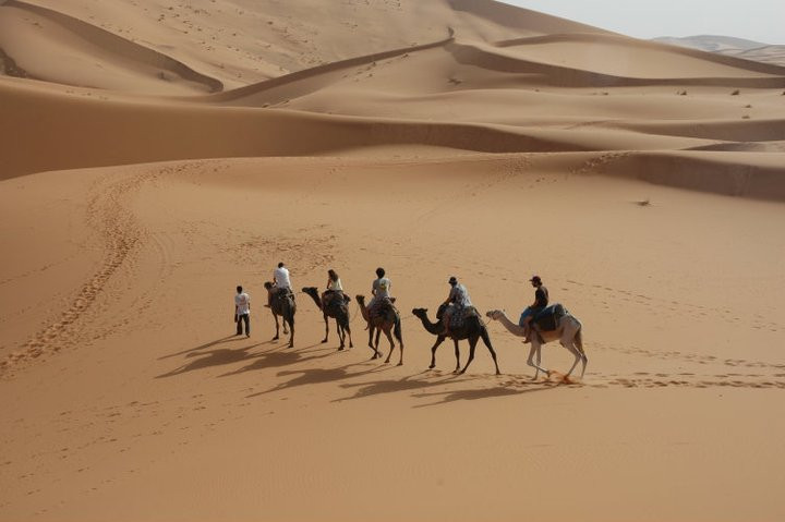 Ligne d'Aventure - Day Tours-拉巴特必去景点