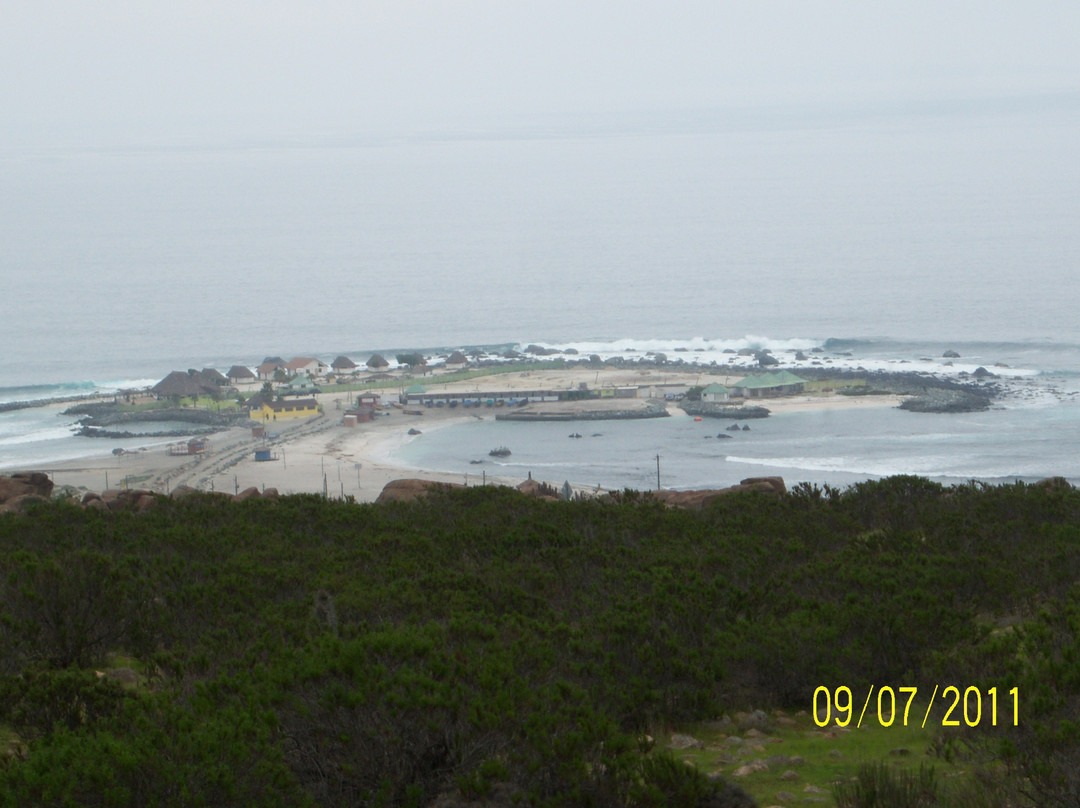 Playa Totoralillo-Coquimbo必去景点