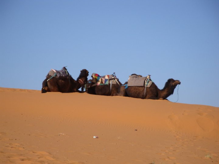 Morocco Sahara 4x4 - Day Tours景点图片