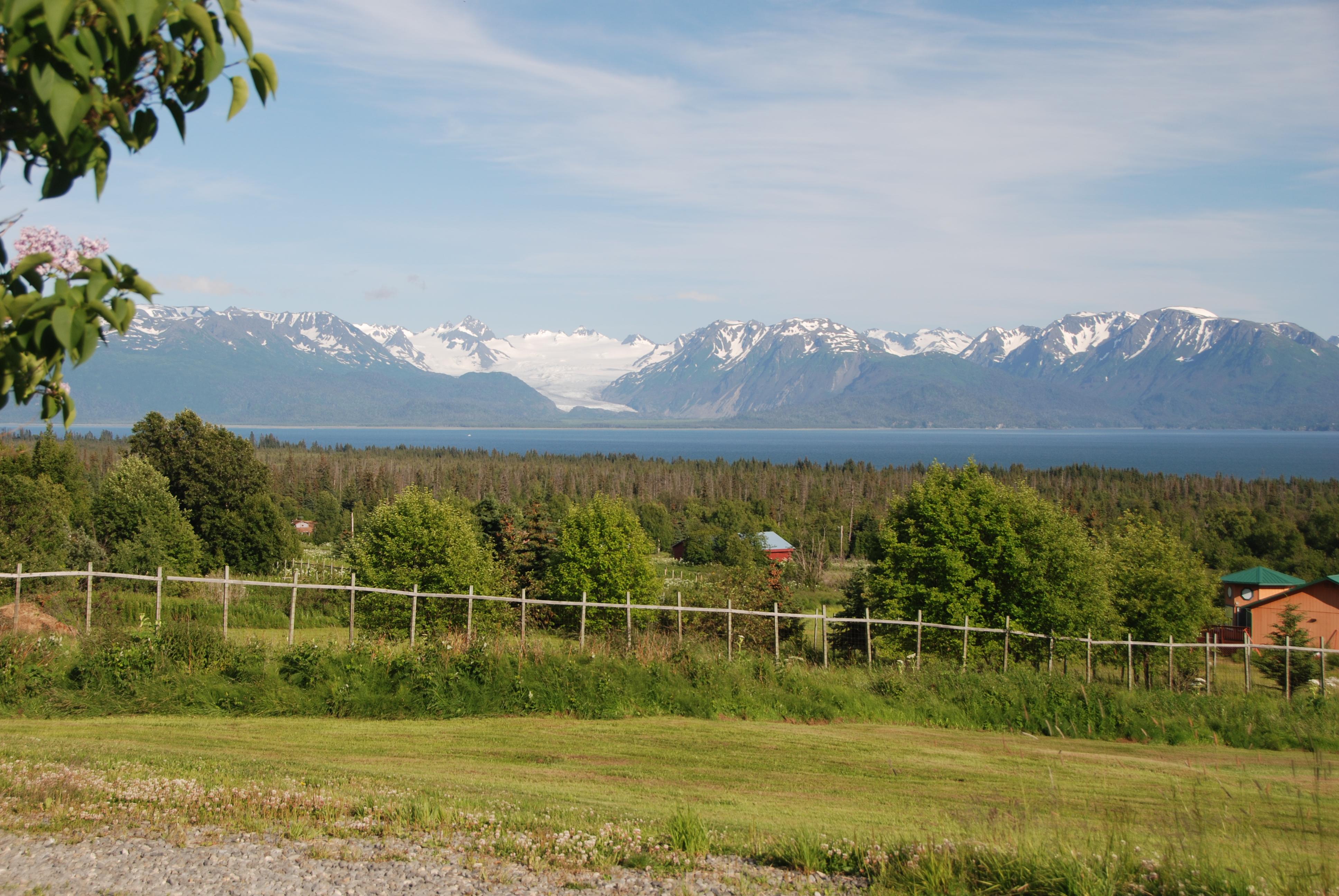Alpenglow Bed & Breakfast-酒店景观