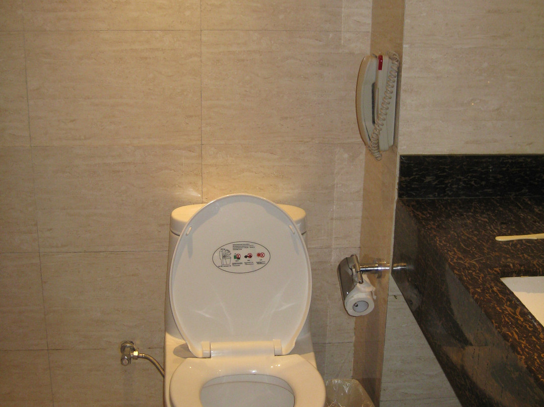 皇姑浴温泉国际酒店主图