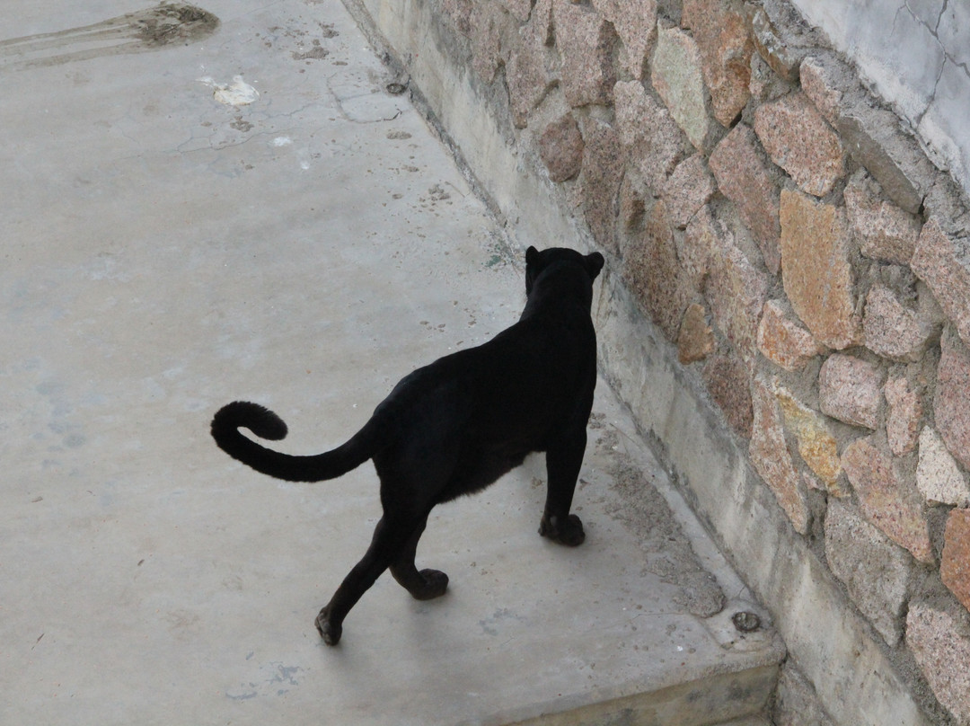 西霞口动物园-荣成市必去景点