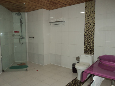 汤山百倍圣泉温泉城主图