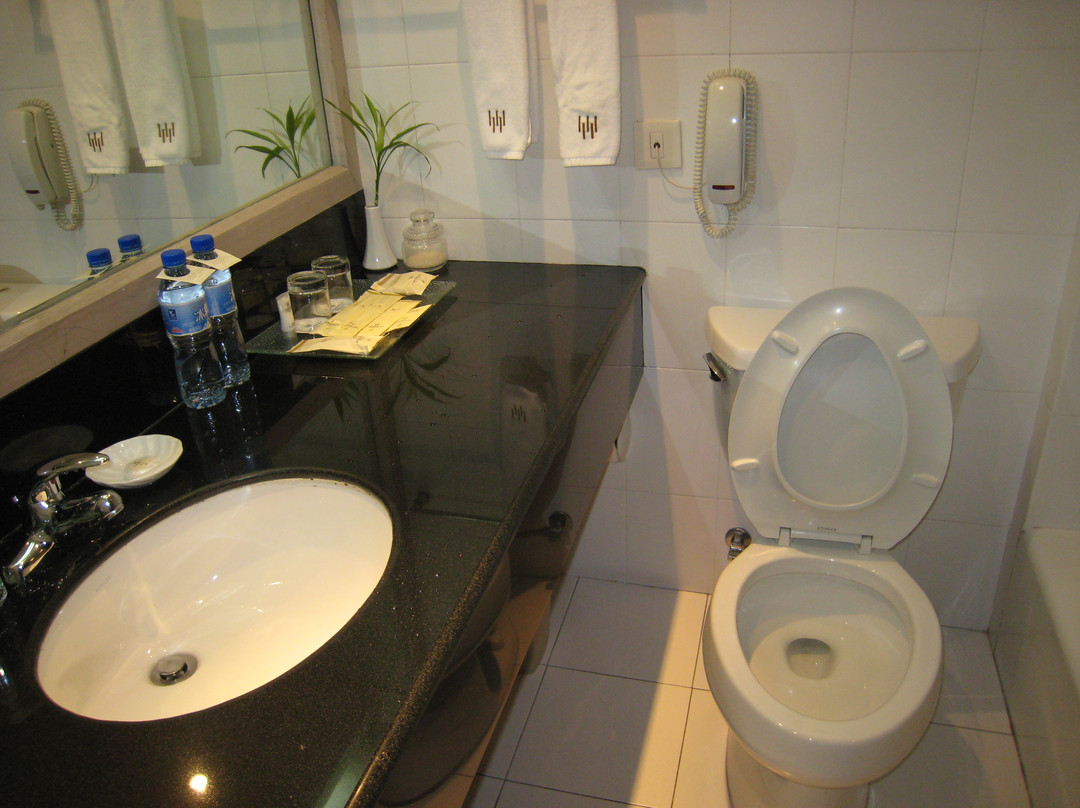 国贸景澜大饭店主图