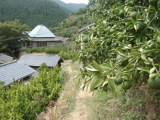 Shikoku Pilgrimage-四国必去景点