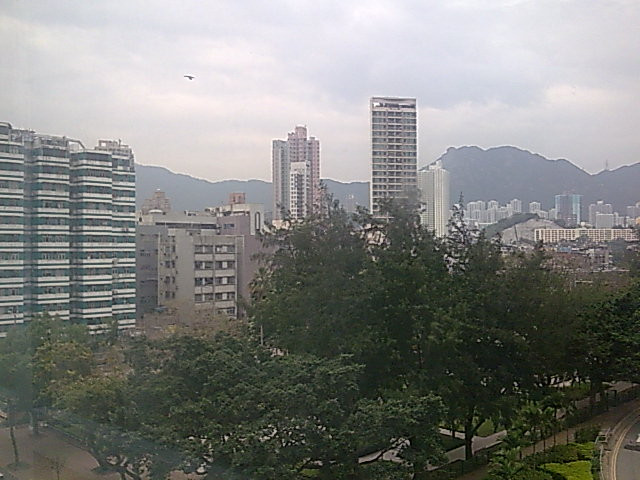 香港红茶馆酒店土瓜湾店主图