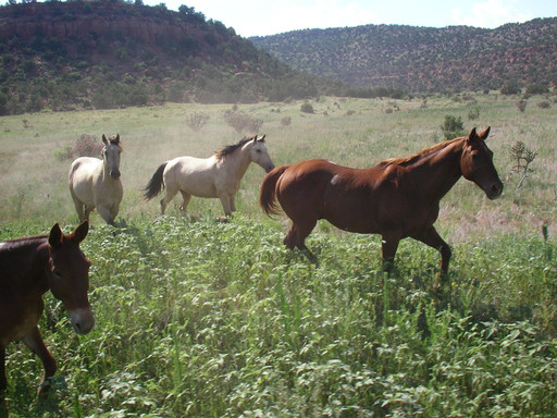 Roy旅游攻略图片