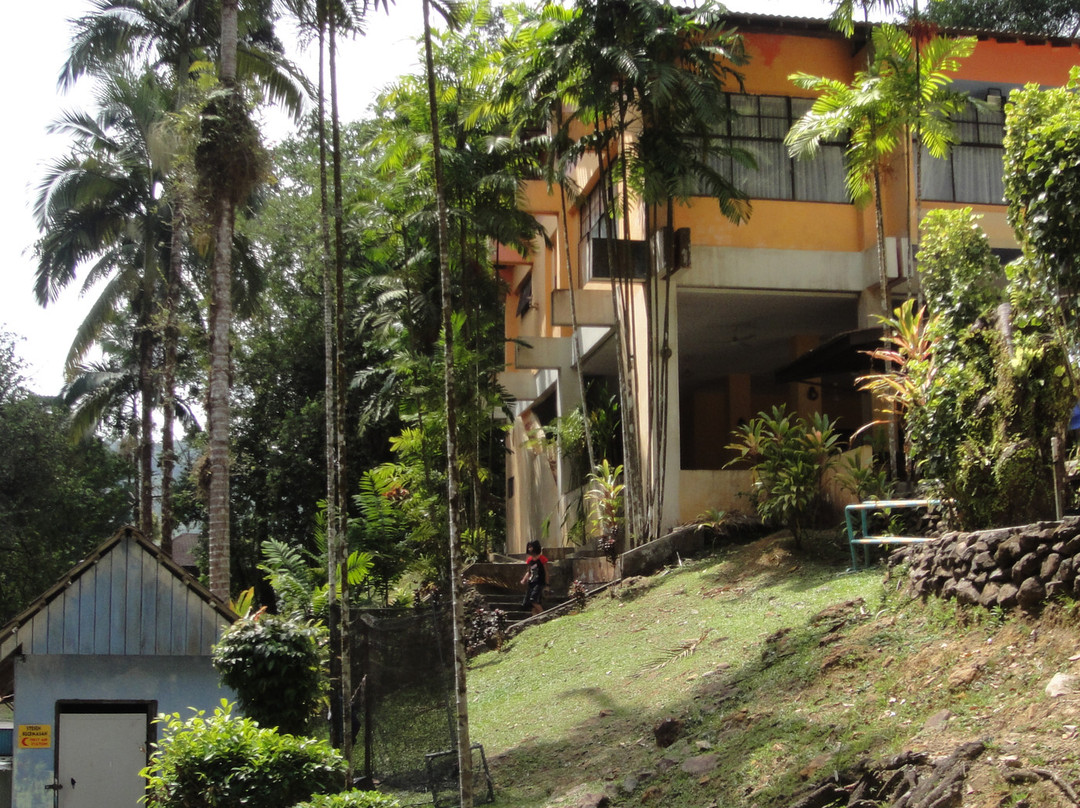 Kota Tinggi Waterfalls-哥打丁宜必去景点