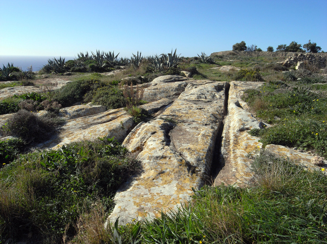 Ta' Cenc Cliffs-Sannat必去景点