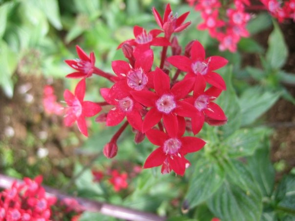 大叻情人谷-大勒必去景点