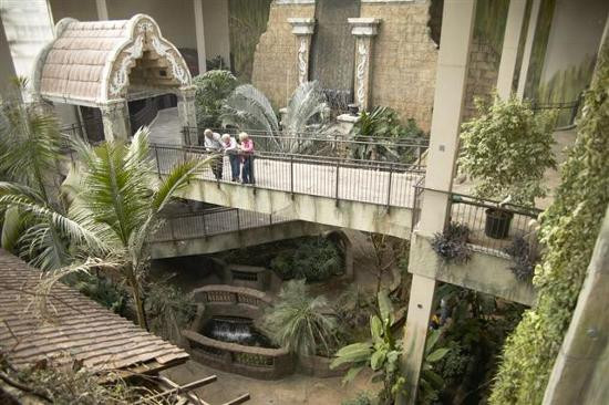 Bird Kingdom-尼亚加拉大瀑布必去景点