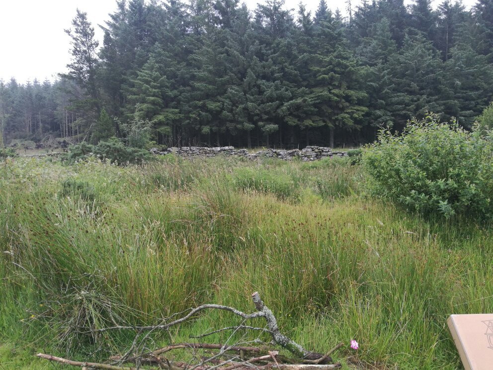 Runnage Farm