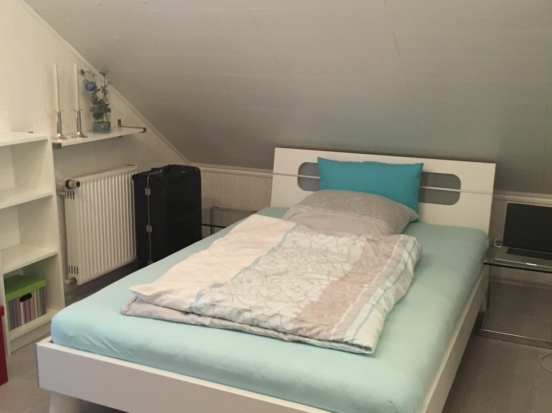 Frauenstein酒店住宿-Pension Taubenberg