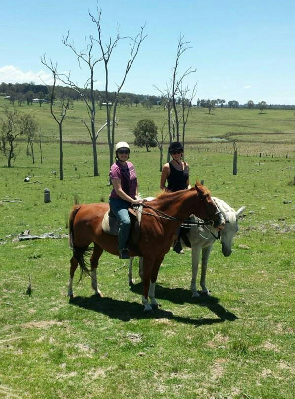 Harlow Park Horse Riding