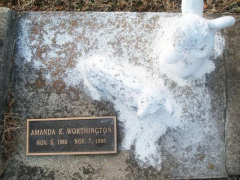 Fletcher旅游攻略图片